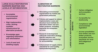 Structural Hurdles to Large-Scale <mark class="highlighted">Forest Restoration</mark> in the Brazilian Amazon